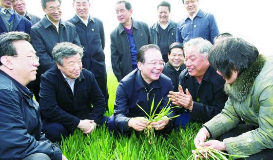 2016年10月6日國家學(xué)科小麥栽培方向學(xué)術(shù)帶頭人郭天財教授蒞臨指導