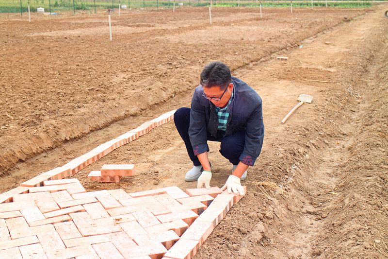 公司董事長(cháng)親自參與菜園建設