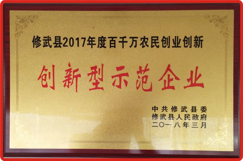 創(chuàng  )新型示范企業(yè)