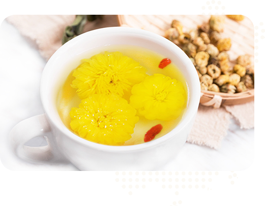 始建于2015年，實(shí)力雄厚