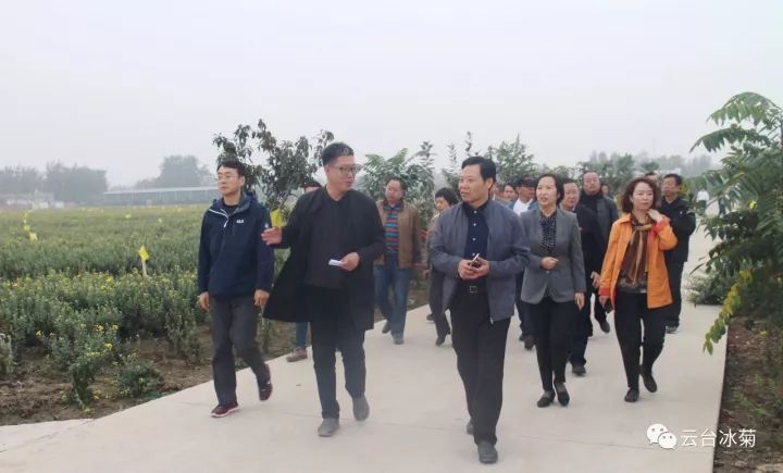 云臺冰菊基地發(fā)生了什么？一批批領(lǐng)導專(zhuān)家團隊前來(lái)！