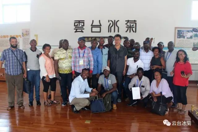 目測這朵菊花要火，國外專(zhuān)家為它頻頻而來(lái)······