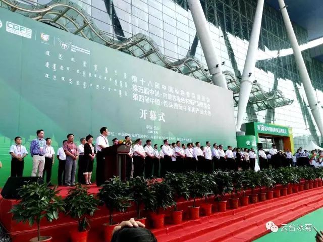 云臺冰菊走進(jìn)綠博會(huì )